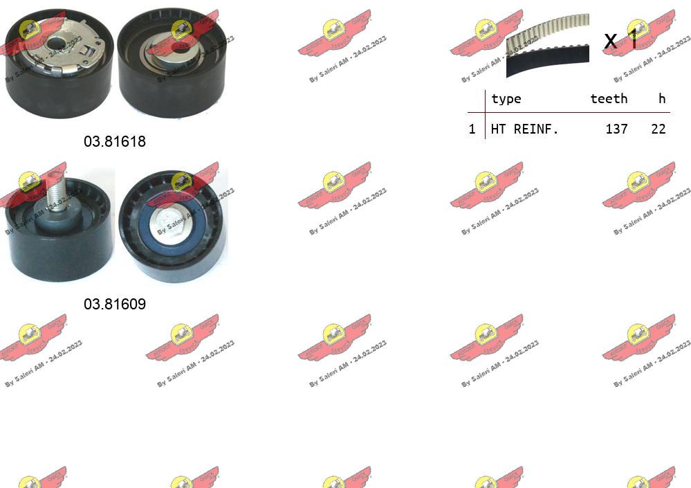Timing Belt Kit (04.5485)
