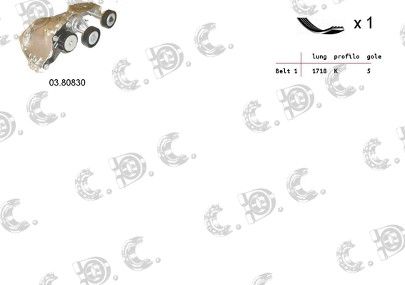 V-Ribbed Belt Set (06.0030)