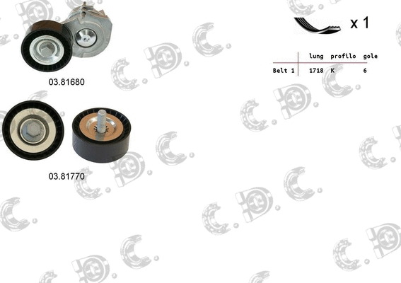 V-Ribbed Belt Set (06.0063)