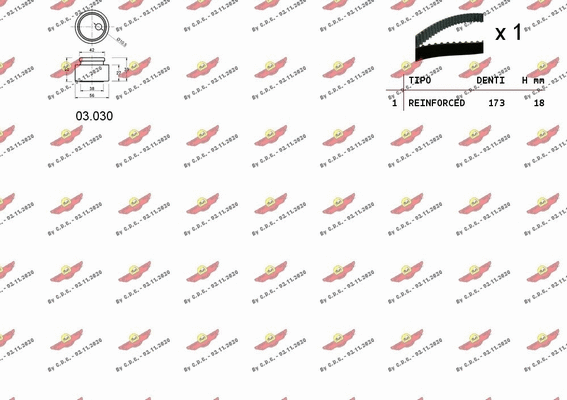 Timing Belt Kit