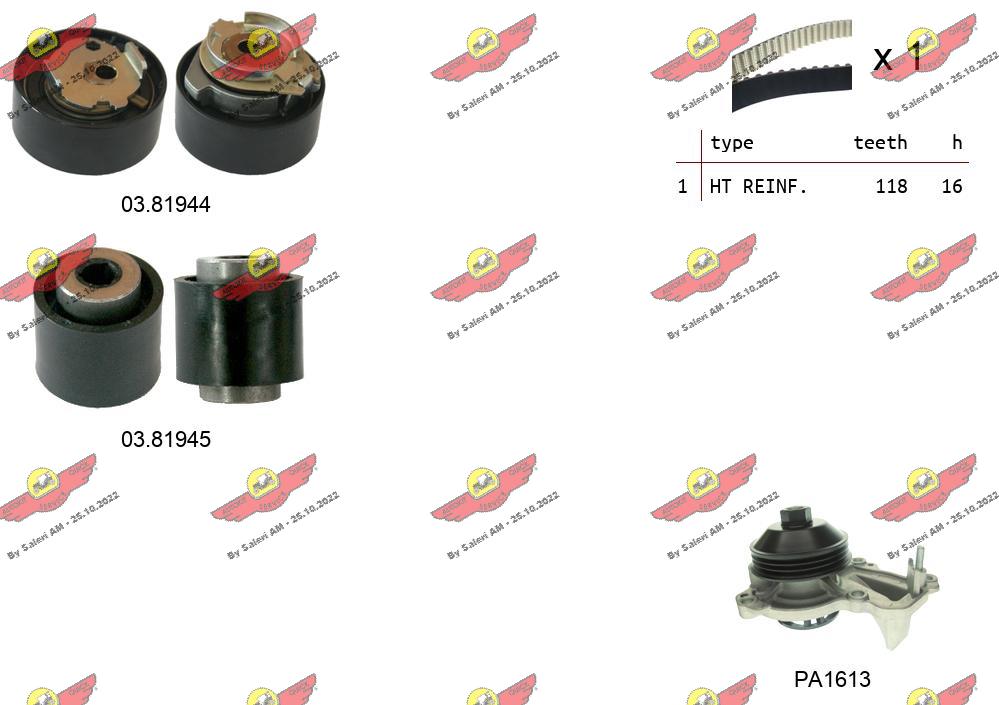 Water Pump & Timing Belt Kit (04.5356PA2)