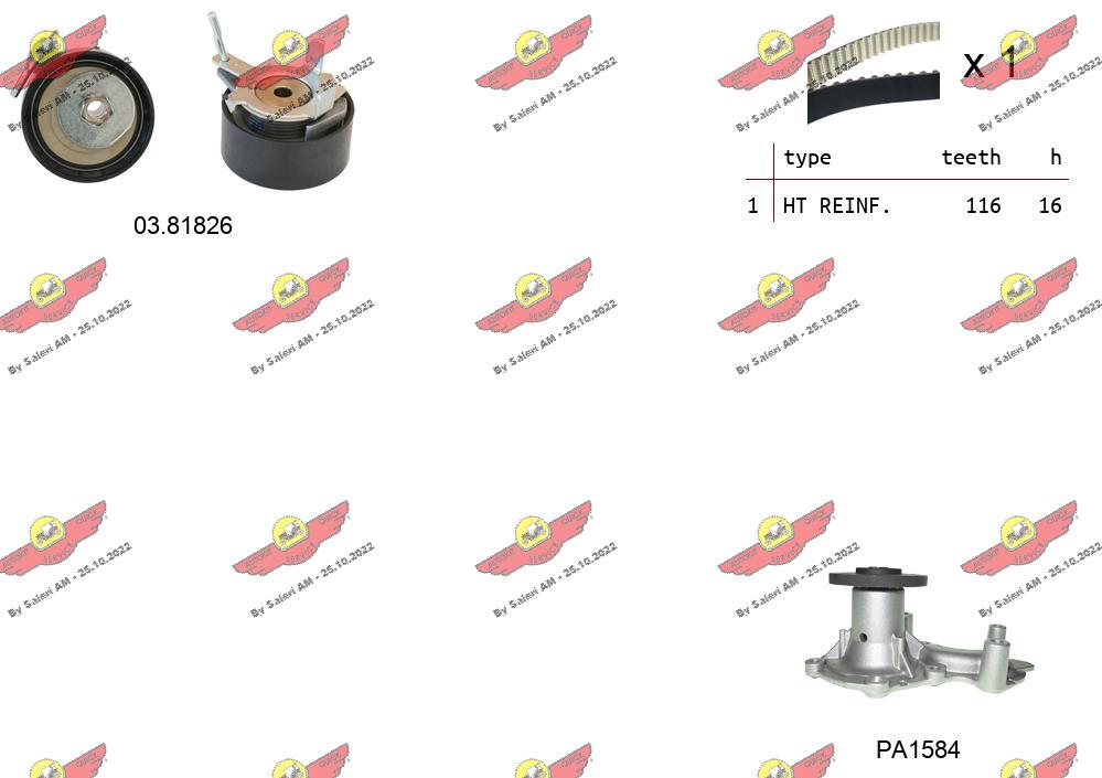 Water Pump & Timing Belt Kit (04.5351PA)