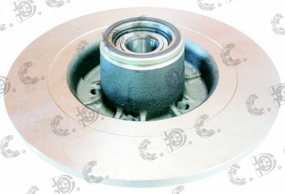 Brake Disc (01.98024)