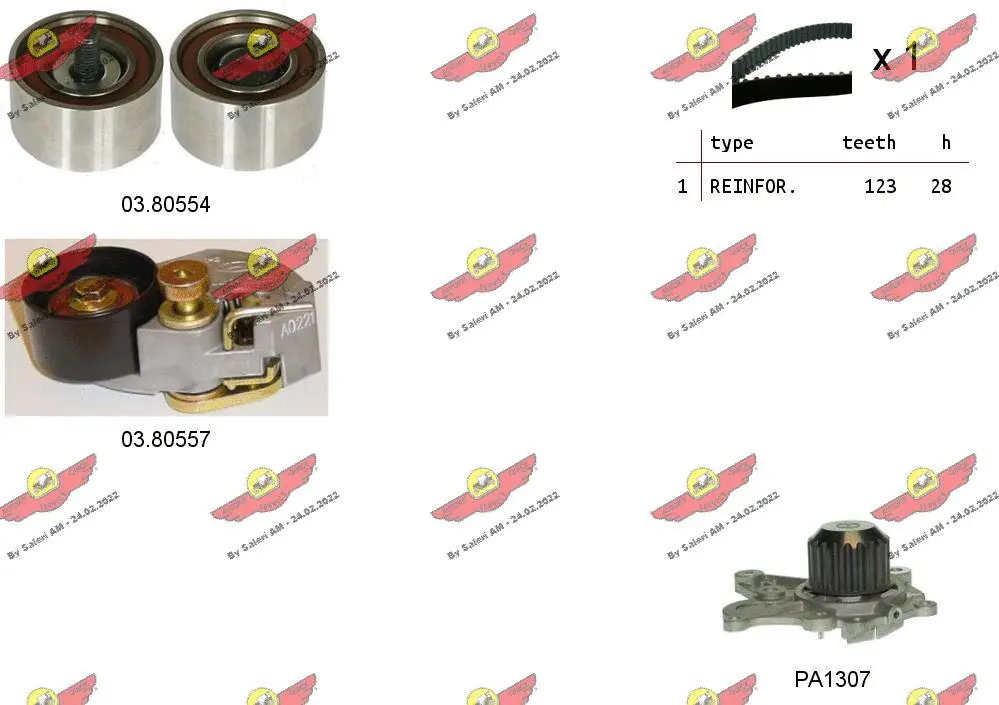 Water Pump & Timing Belt Kit (04.5259PA)