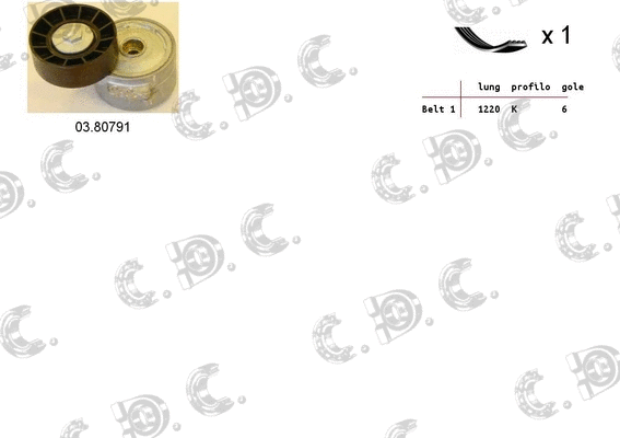V-Ribbed Belt Set (06.0021)