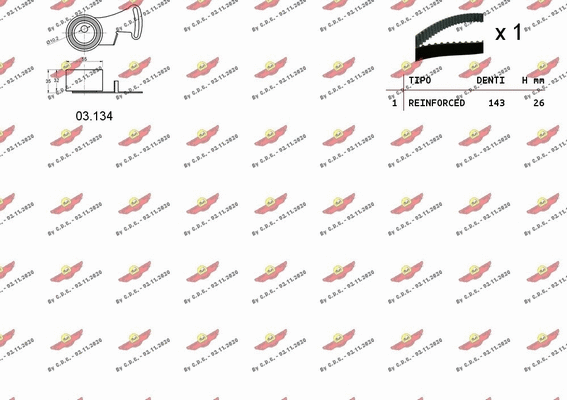 Timing Belt Kit