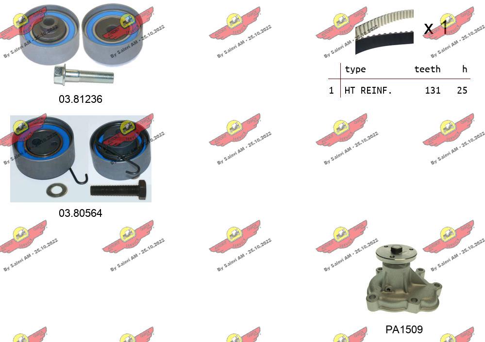 Water Pump & Timing Belt Kit (04.5057PA)