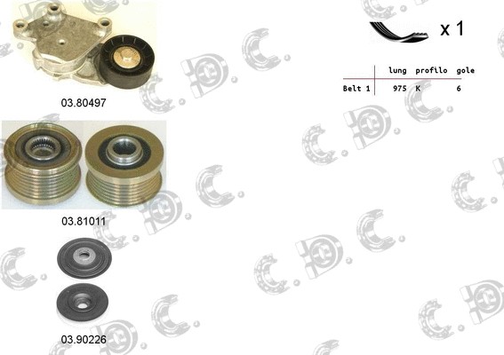 V-Ribbed Belt Set (06.0110)