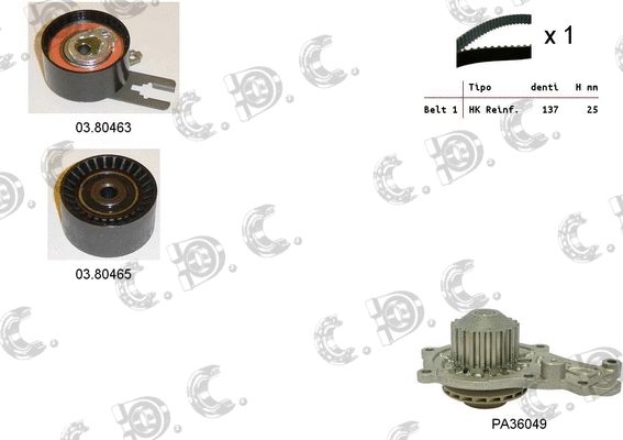Water Pump & Timing Belt Kit (04.5053PA)