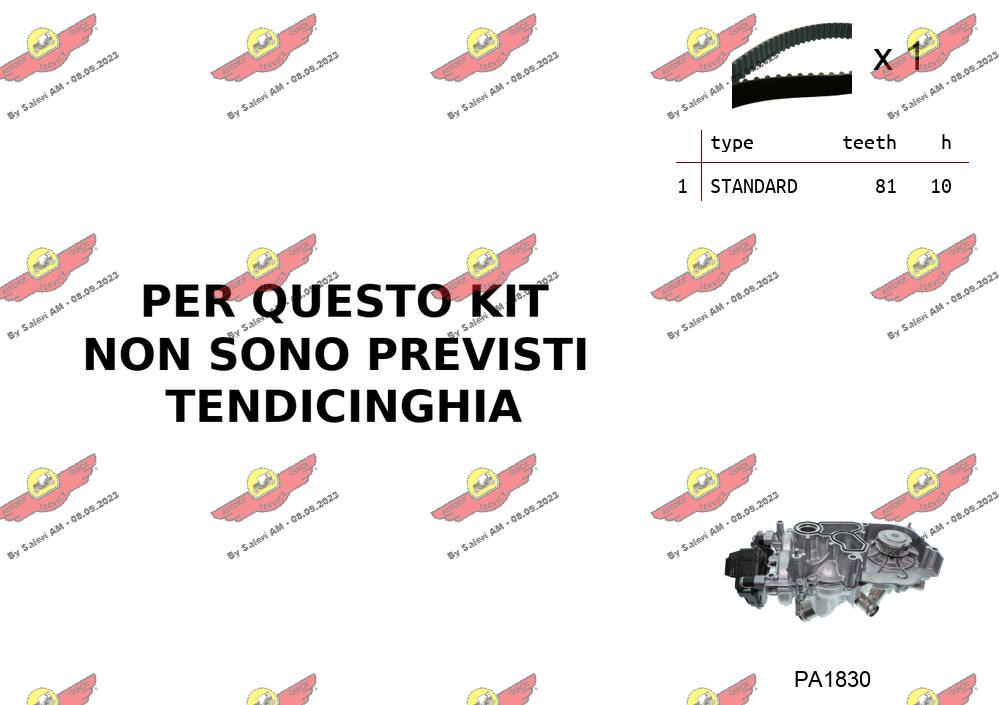 Water Pump & Timing Belt Kit (04.5B06PA)