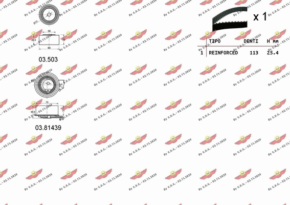 Timing Belt Kit