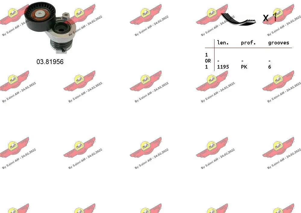 V-Ribbed Belt Set (06.0134)