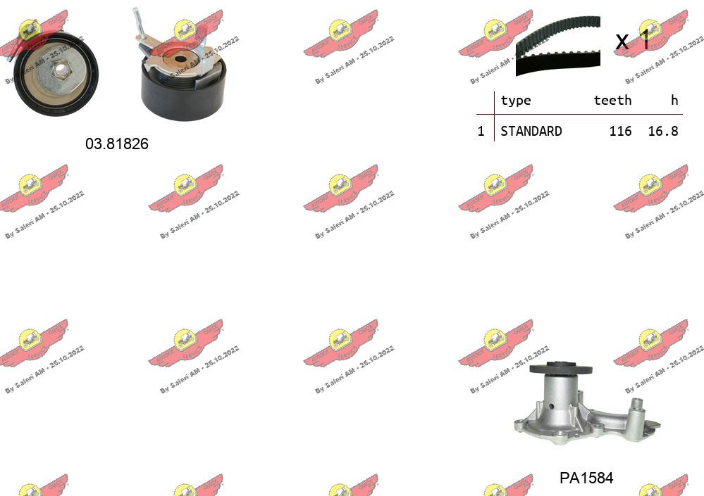 Water Pump & Timing Belt Kit (04.5484PA)