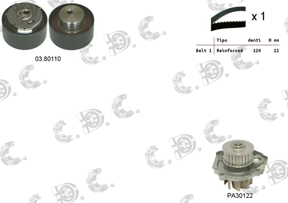 Water Pump & Timing Belt Kit (04.5031PA2)