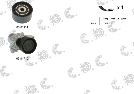 V-Ribbed Belt Set (06.0100)