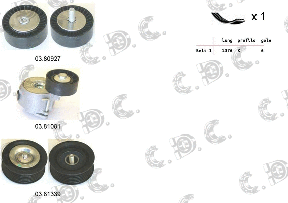 V-Ribbed Belt Set (06.0113)