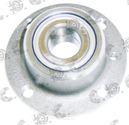 Wheel Bearing Kit (01.800)