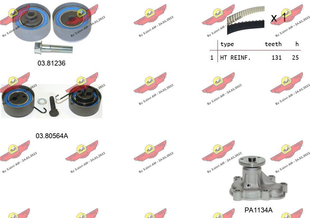 Water Pump & Timing Belt Kit (04.5057APA2)