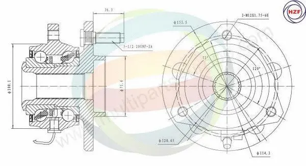 Wheel Bearing Kit (70-220040)
