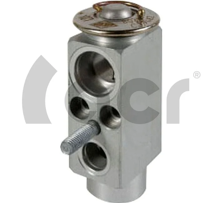 Expansion Valve, air conditioning (121113)