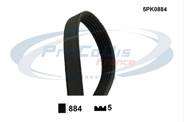 V-Ribbed Belt (5PK0884)