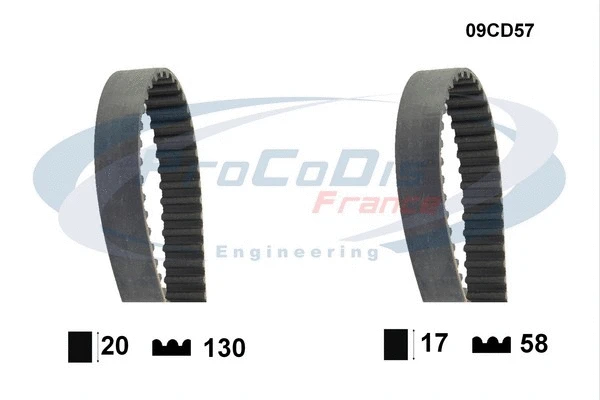 Timing Belt (09CD57)
