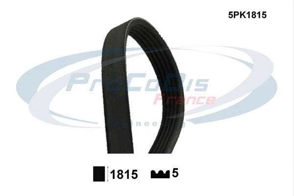 V-Ribbed Belt (5PK1815)