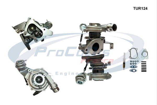 Charger, charging (supercharged/turbocharged) (TUR124)