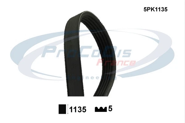 V-Ribbed Belt (5PK1135)