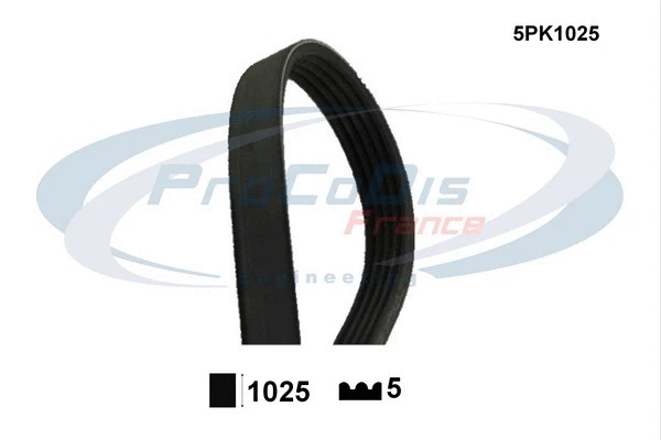 V-Ribbed Belt (5PK1025)