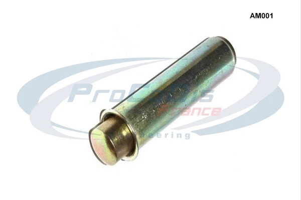 Vibration Damper, timing belt (AM001)