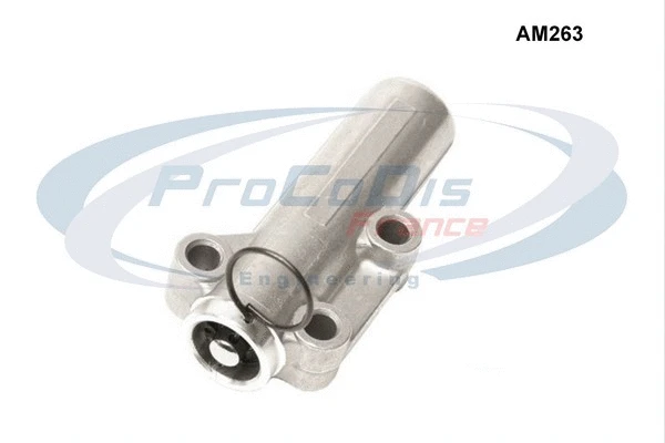 Vibration Damper, timing belt (AM263)