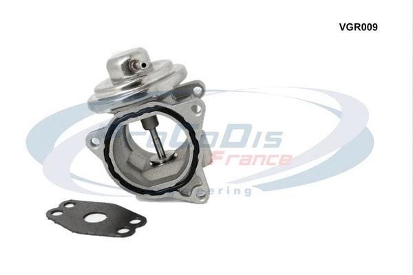 EGR Valve (VGR009)
