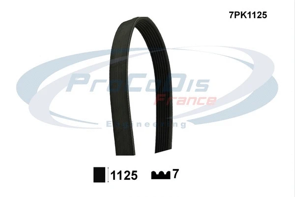 V-Ribbed Belt (7PK1125)