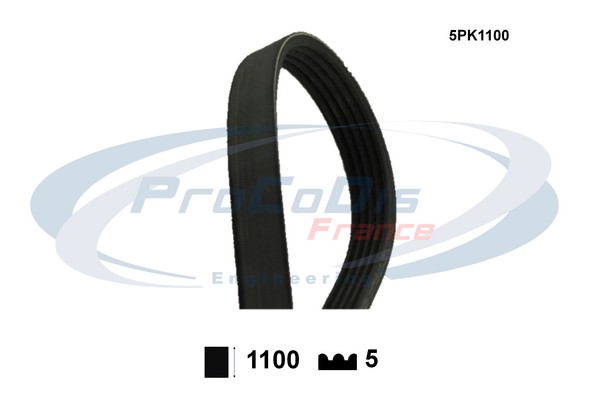 V-Ribbed Belt (5PK1100)