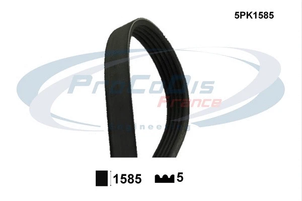 V-Ribbed Belt (5PK1585)