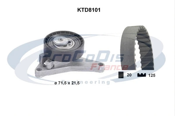 Timing Belt Kit (KTD8101)