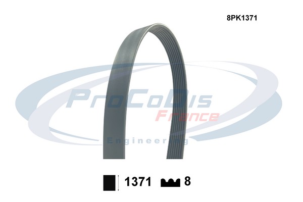 V-Ribbed Belt (8PK1371)
