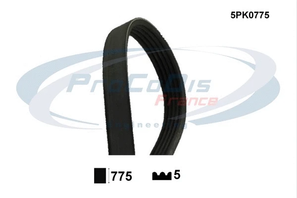 V-Ribbed Belt (5PK0775)