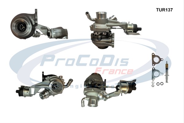 Charger, charging (supercharged/turbocharged) (TUR137)