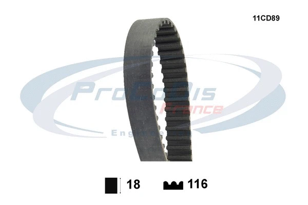 Timing Belt (11CD89)