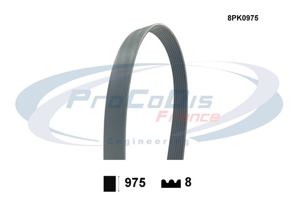 V-Ribbed Belt (8PK0975)