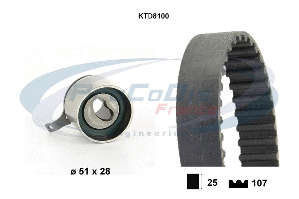 Timing Belt Kit (KTD8100)