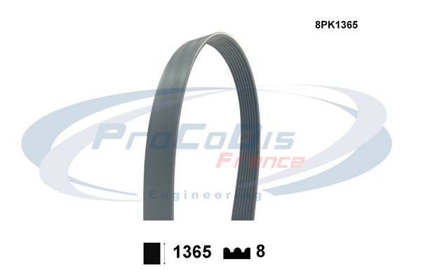 V-Ribbed Belt (8PK1365)