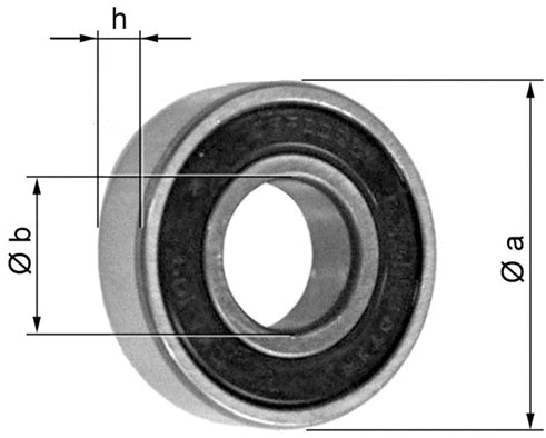 Bearing (40460521.1)