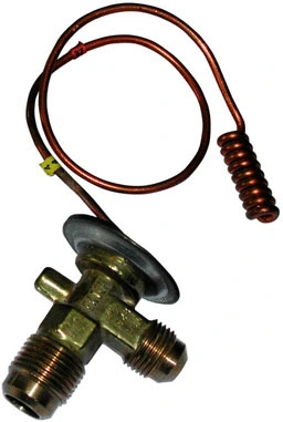 Expansion Valve, air conditioning (2021589012CP)