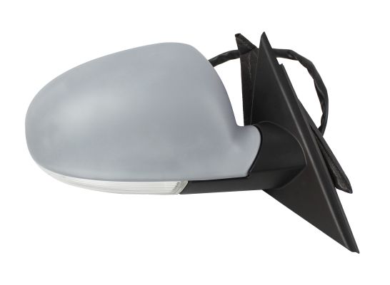 Exterior Mirror (4022M06)