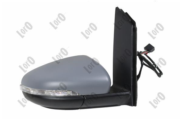 Exterior Mirror