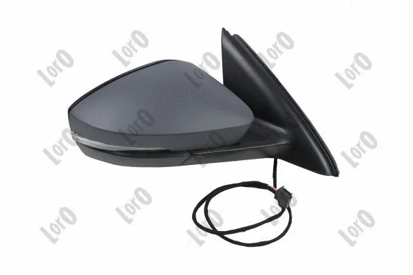 Exterior Mirror (3513M02)