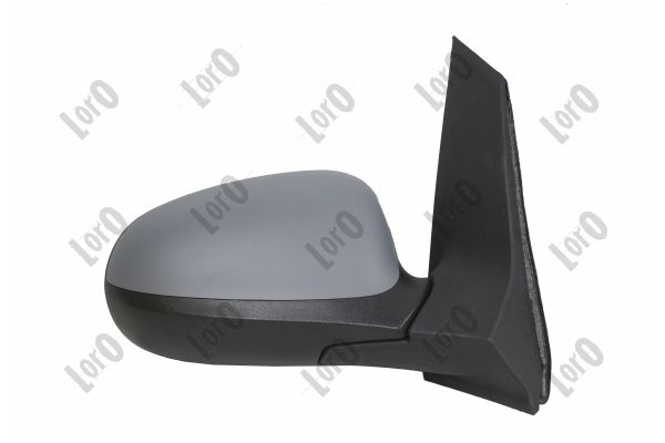 Exterior Mirror (1227M09)